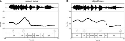 Correction by Focus: Cleft Constructions and the Cross-Linguistic Variation in Phonological Form